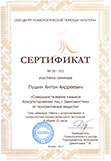 Сертификат повышения квалификации