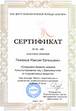 Сертификат повышения квалификации