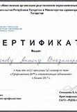 Сертификат повышения квалификации